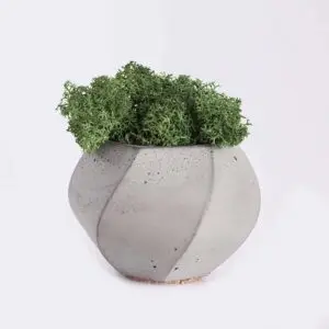 plant4 free img