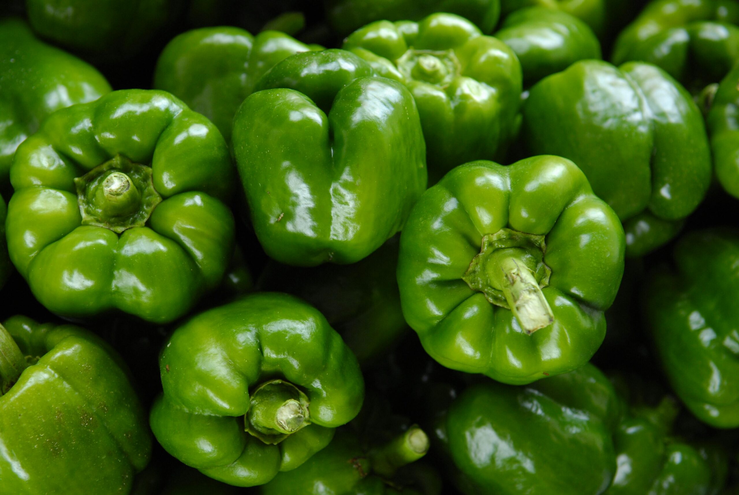 About Us Close-up of fresh organic green bell peppers showcasing vibrant color and freshness.